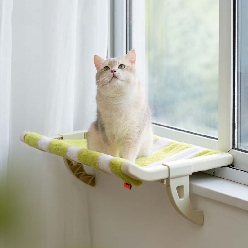 Cat Hanging Bed