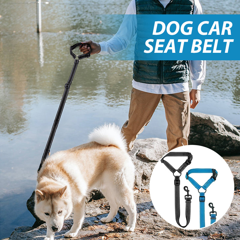 Dog Car Seat Belt