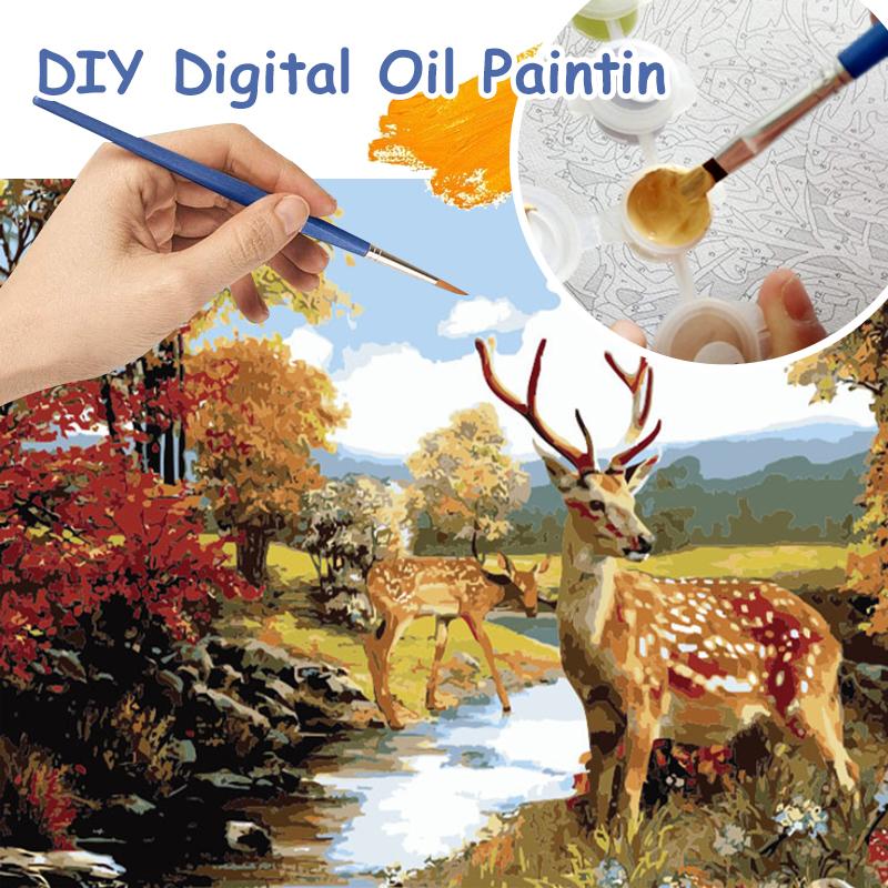 DIY Oil Painting By Numbers