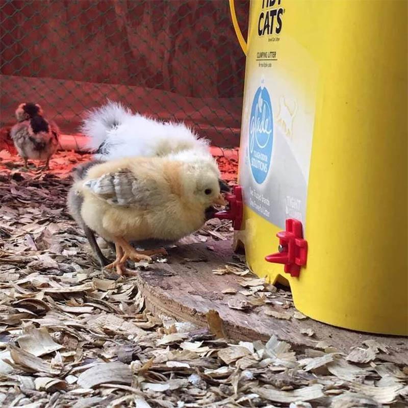 Horizontal Side Mount Chicken Waterer