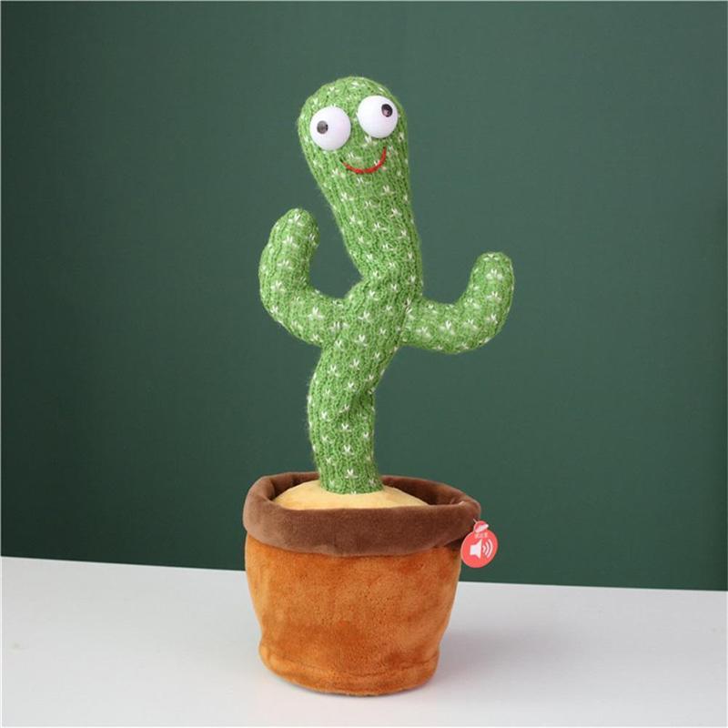 Dancing Cactus