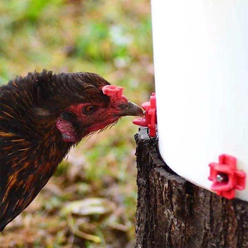 Horizontal Side Mount Chicken Waterer